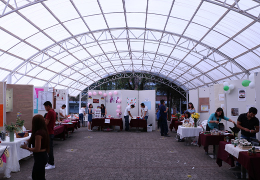 Fototeca 2017